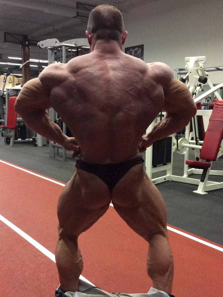 Ronny Rockel