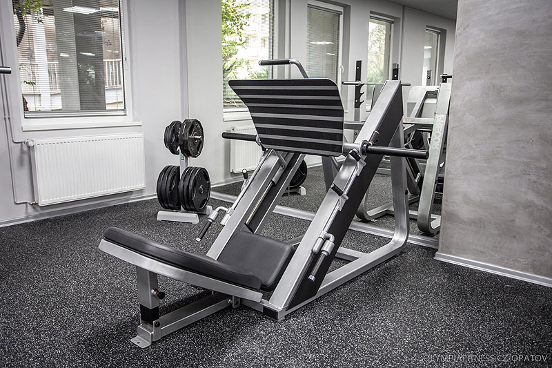 Olympia Fitness Opatov 
