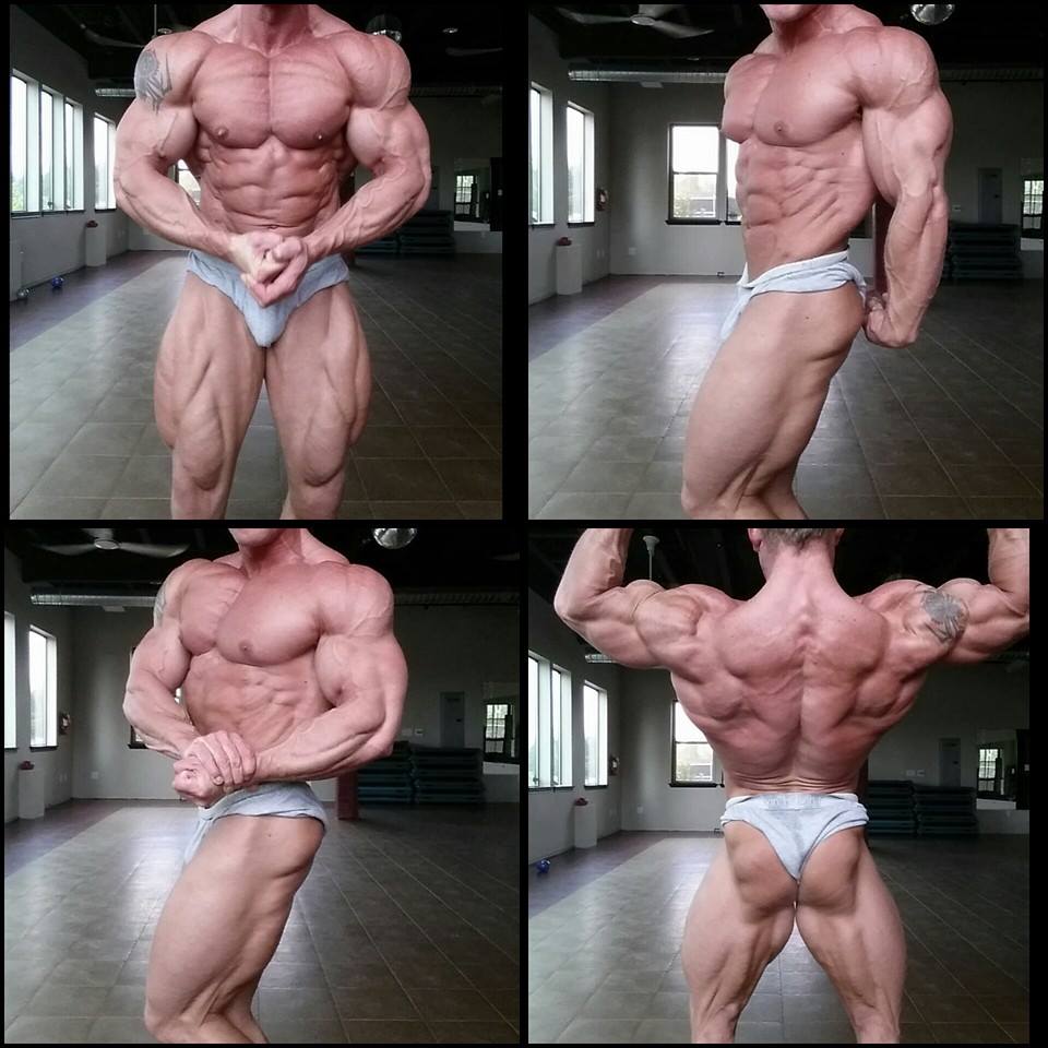 David Paterik 