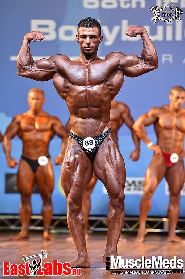 Sajad Niknampour