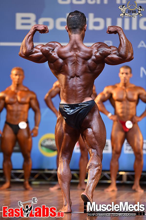 Sajad Niknampour