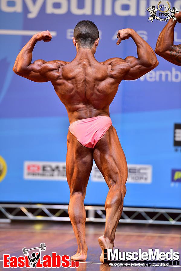 Sameh Mohamed