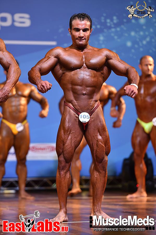 Mahmoud El Zayat