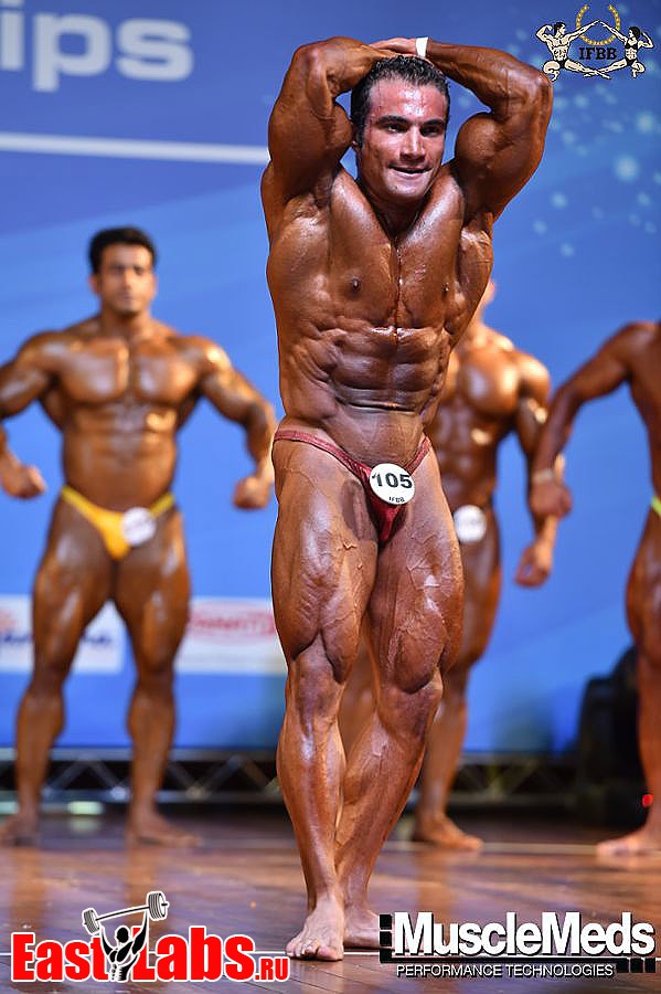 Mahmoud El Zayat