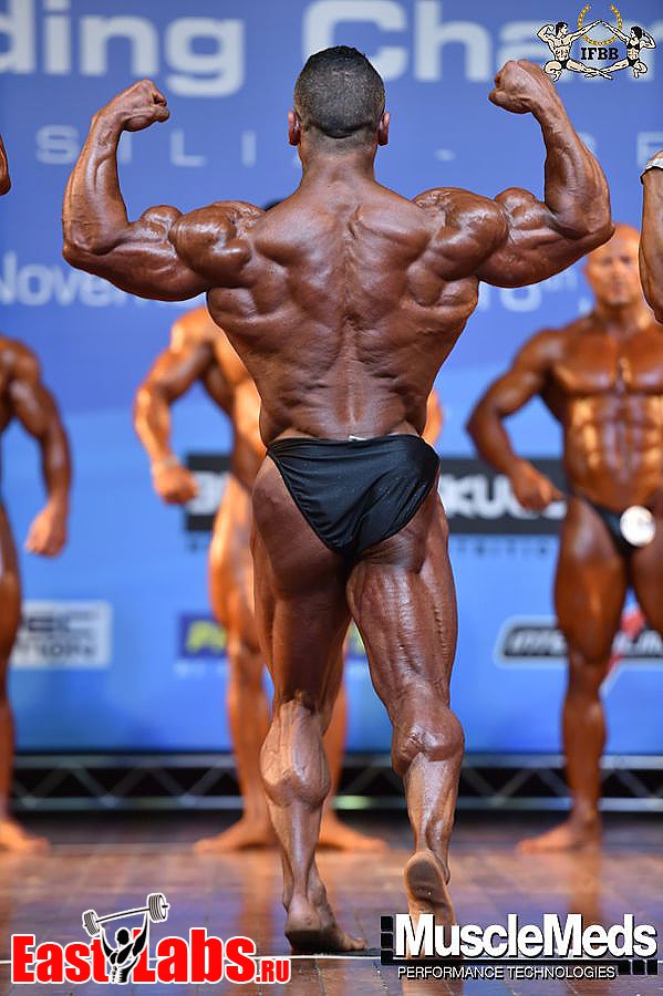 Mahmoud El Fadaly