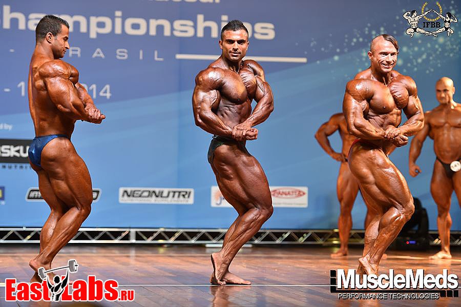 Ahmed Wardany, Khalil Asadi, Vladislav Mazhara