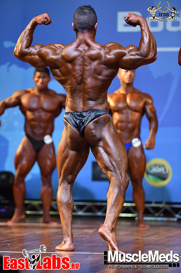 Reza Zinatlou