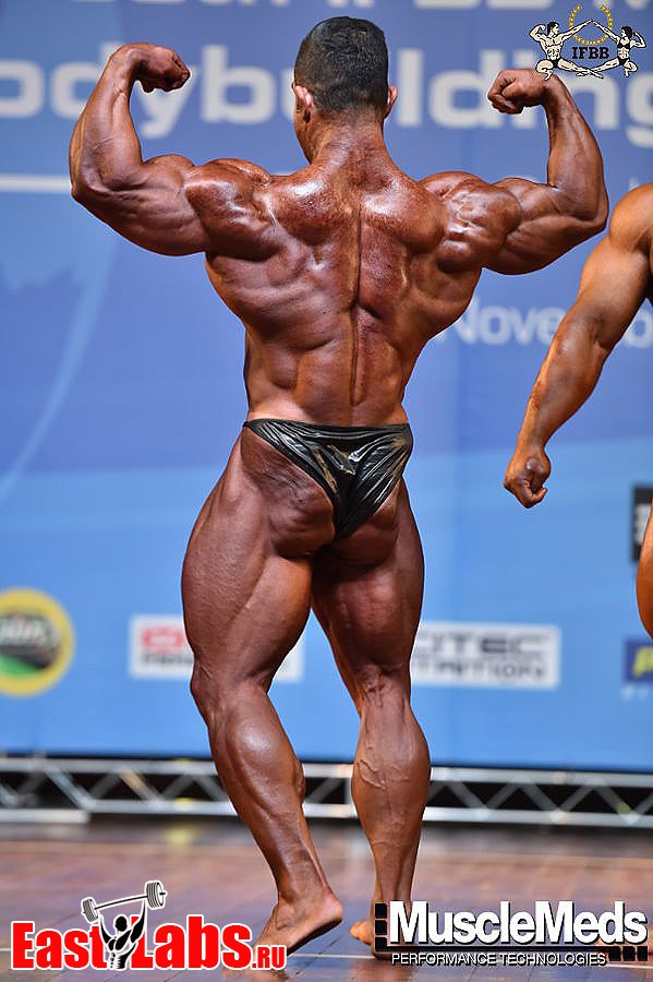 Isaac Ghavidel