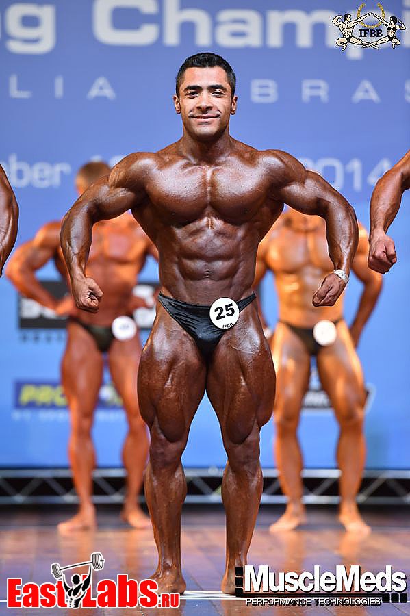 Mahdi Heydari