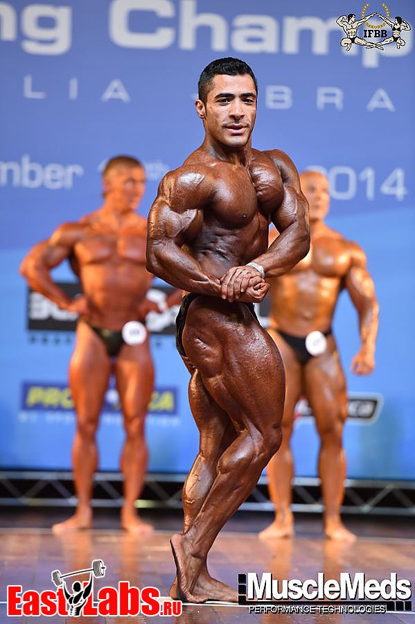 Mahdi Heydari
