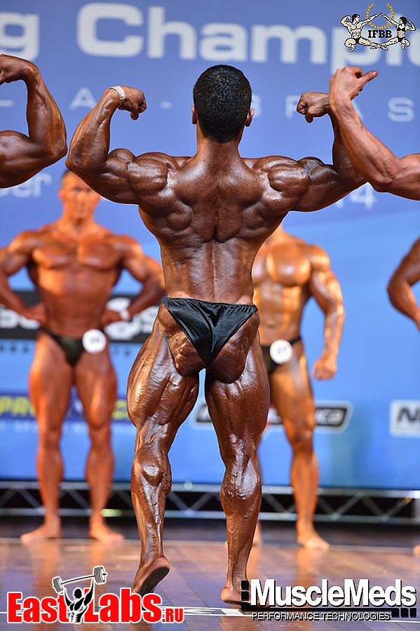 Mahdi Heydari
