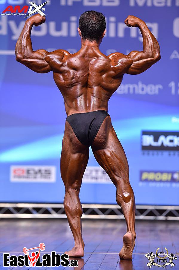 Mahmoud El Zayat