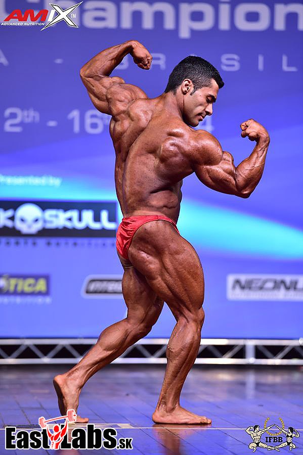 Mahdi Heydari