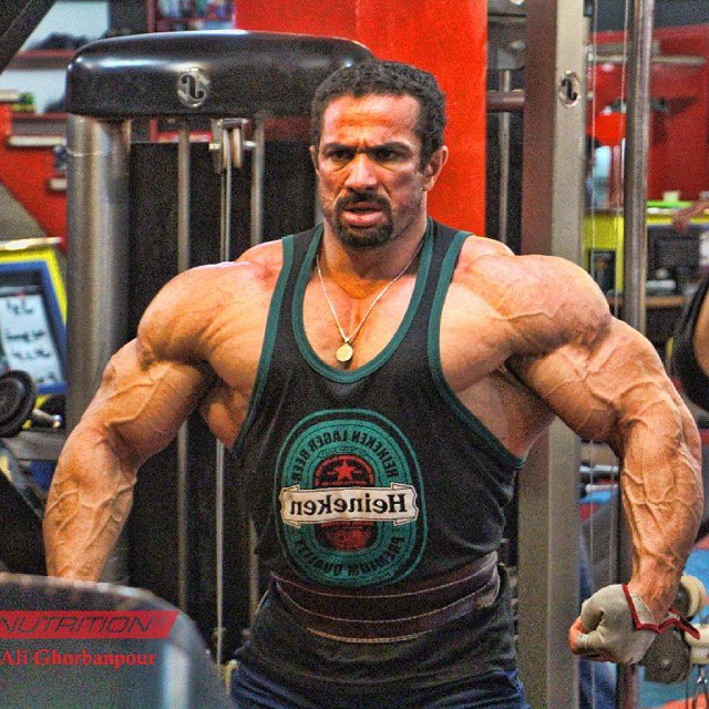 Mojtaba Notark