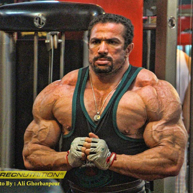 Mojtaba Notark