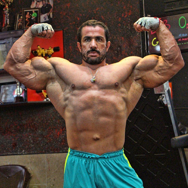 Mojtaba Notark