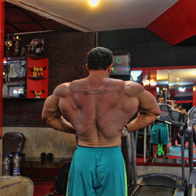 Mojtaba Notark