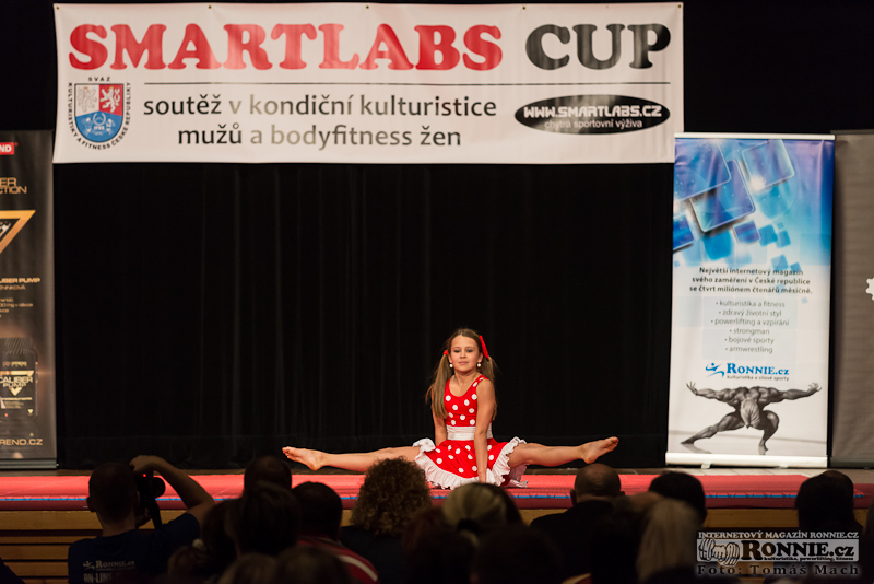 Smartlabs Cup 2014 - z�kulis��