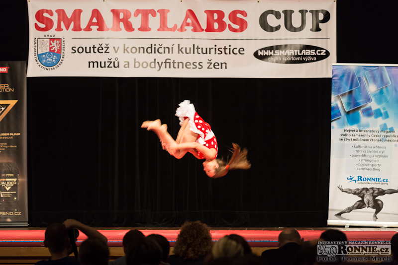 Smartlabs Cup 2014 - z�kulis� �