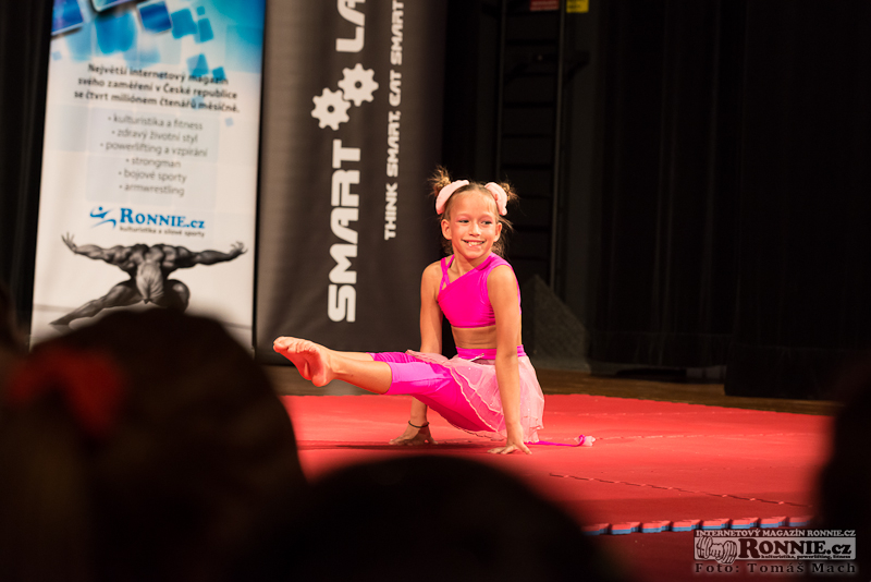 Smartlabs Cup 2014 - z�kulis��