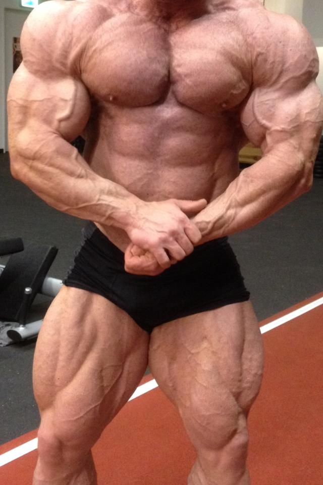 Ronny Rockel