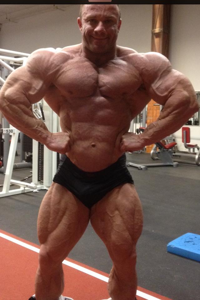 Ronny Rockel