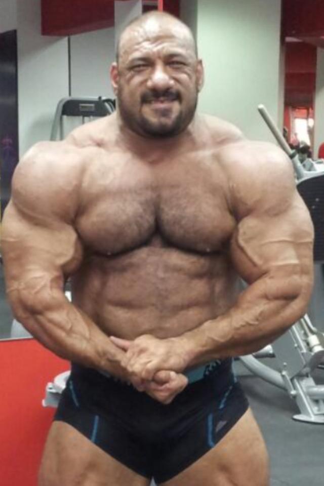Anwar Seif