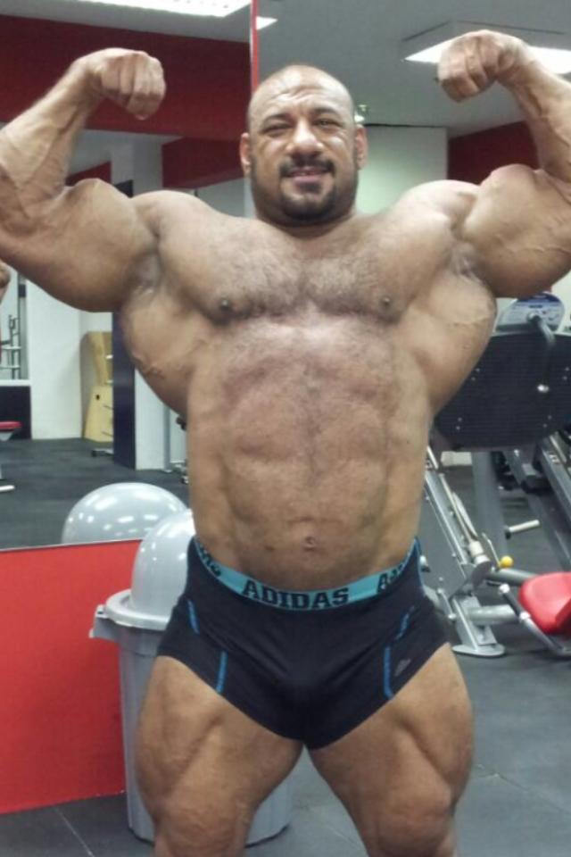 Anwar Seif