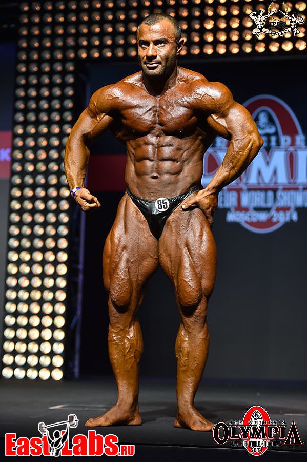 Mahdi Pirsanadib