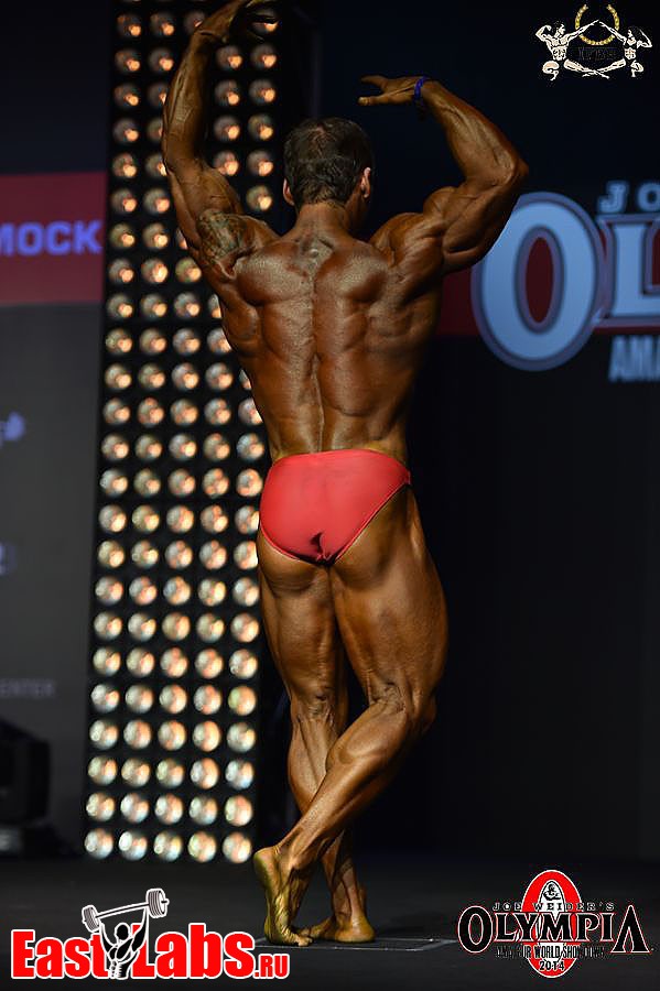 Ilya Nazin