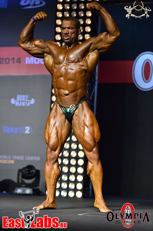 Mojtaba Notark