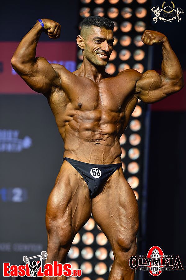 Watheq Mohammed Naji