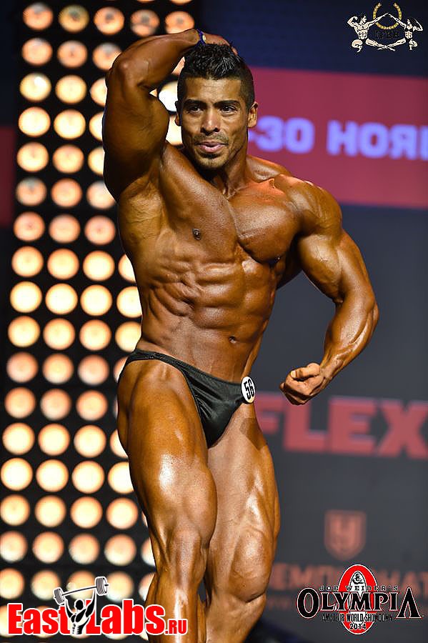 Mohamed Mostafa Mohamed Ramadan