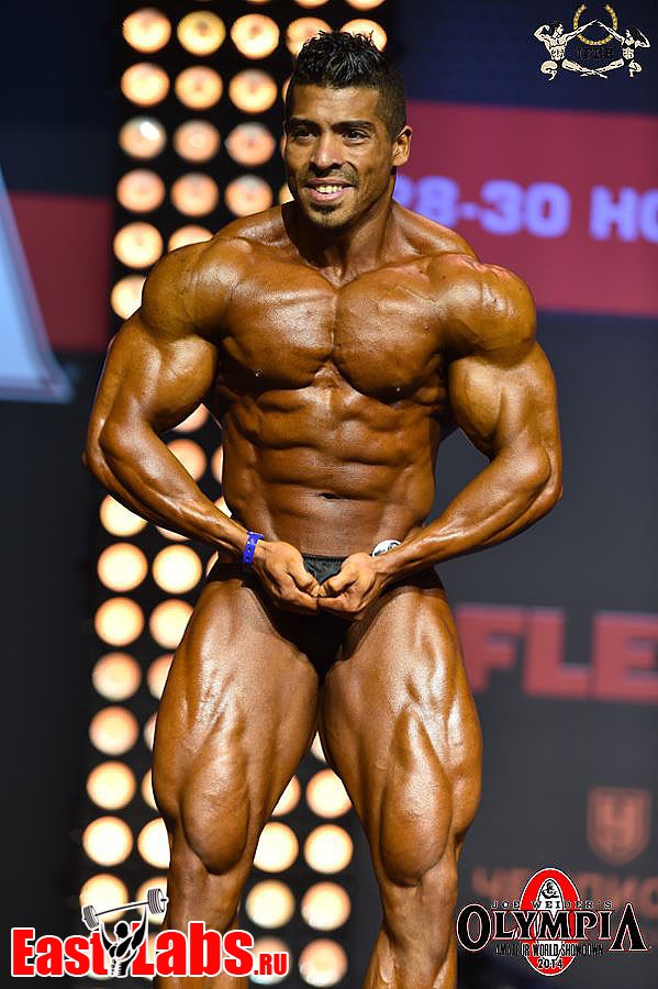 Mohamed Mostafa Mohamed Ramadan