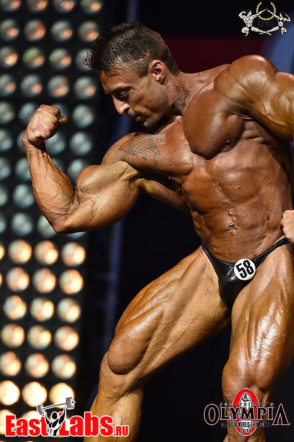 Alex Zuccaro