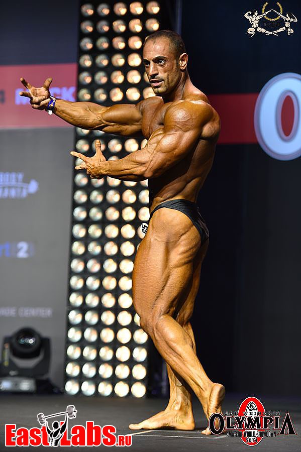 Mostafa Eskandari