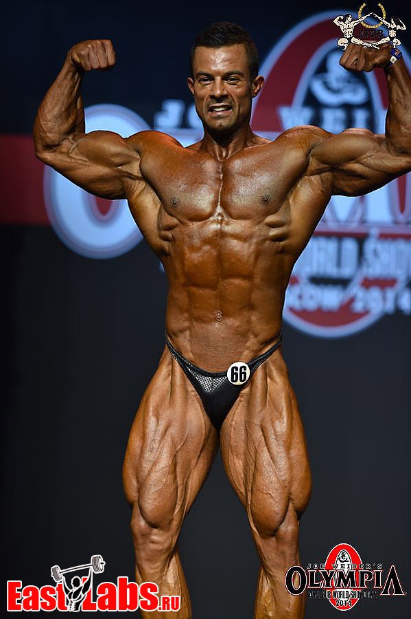 Babak Akbarnia