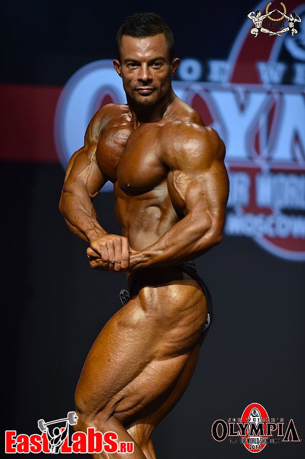 Babak Akbarnia