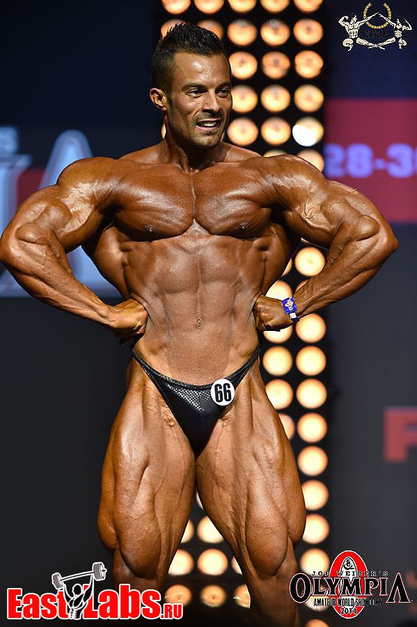 Babak Akbarnia