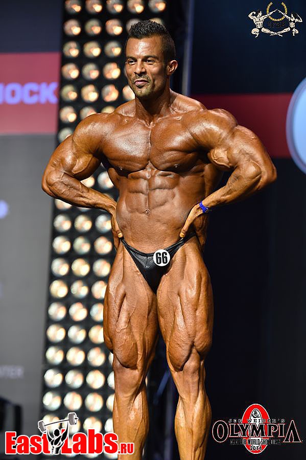 Babak Akbarnia