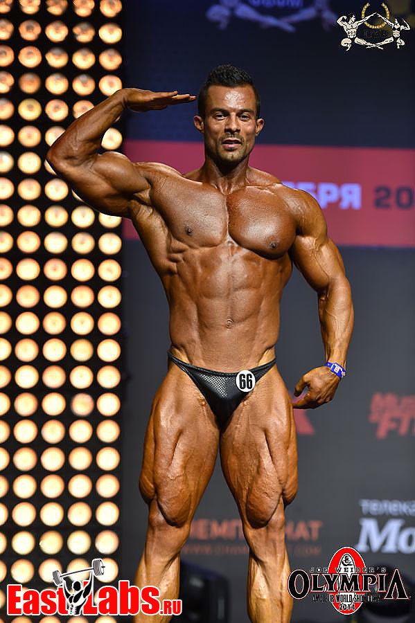 Babak Akbarnia
