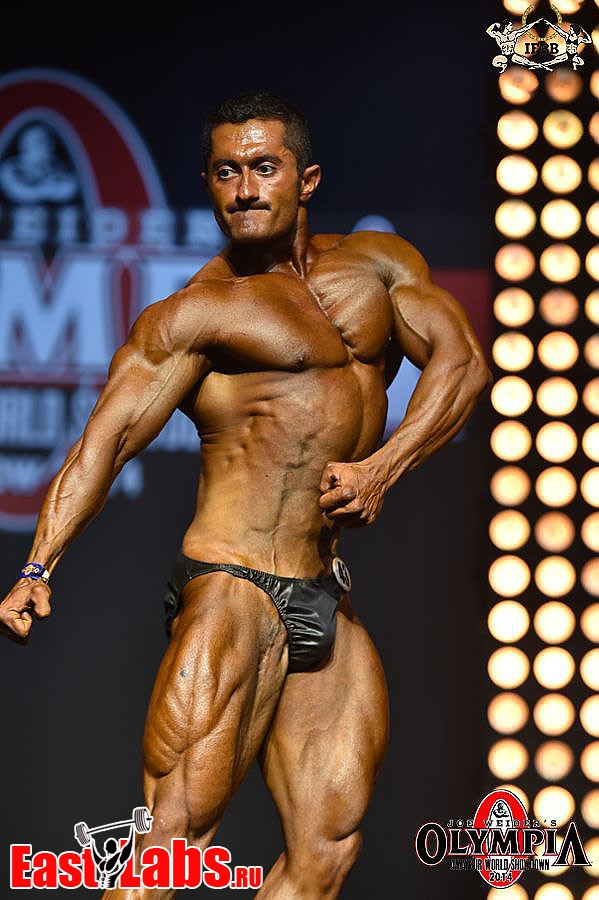 Sajad Mohammadi