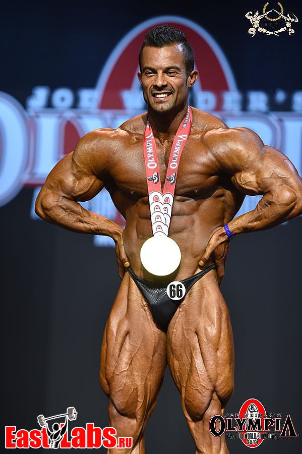 Babak Akbarnia