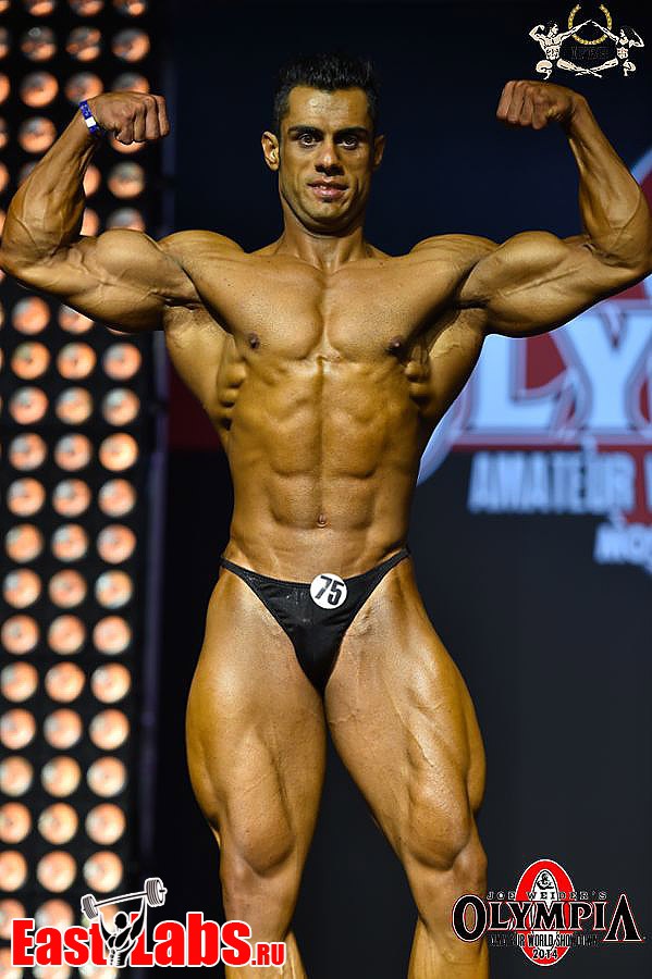 Zaden Hesam Reza