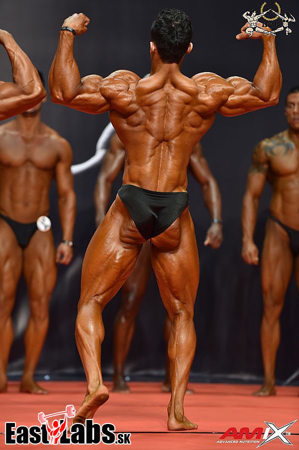 Mohammad Ranipour