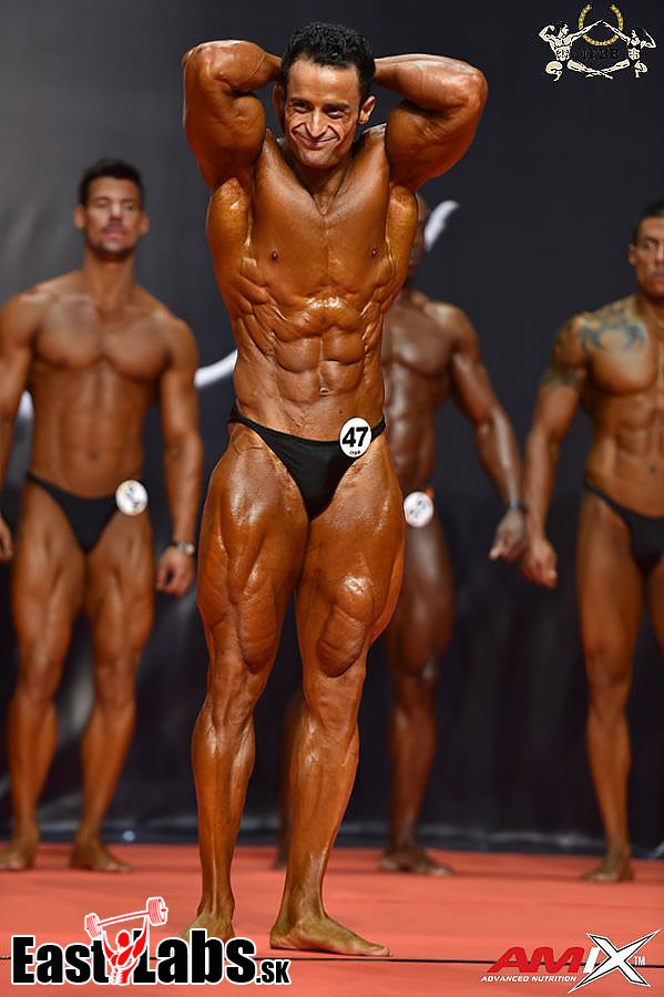 Mohammad Ranipour