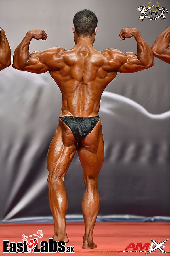 Mahdi Parvani