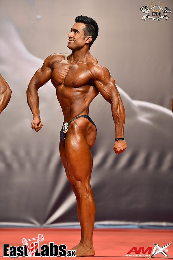 Javad Soltani