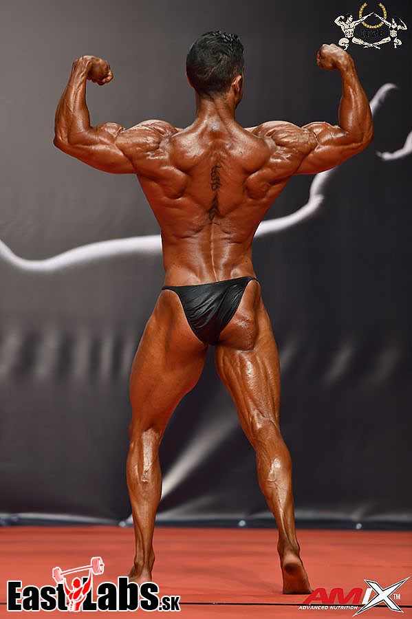 Jesus Rodal