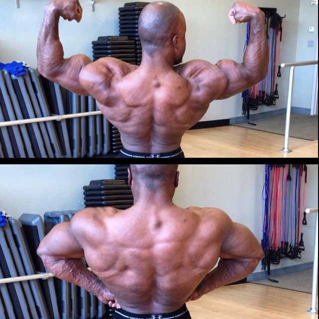 Shaun Clarida